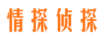 乐平侦探公司